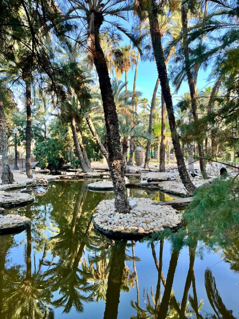 Пруд с пальмами в Пальмовом парке Эльче — отражение зелени и спокойствия