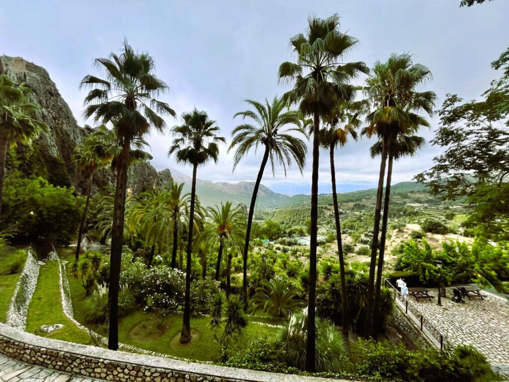 Пальмовый сад у подножия крепости Гуадалест с видом на долину и горы в провинции Аликанте, Испания